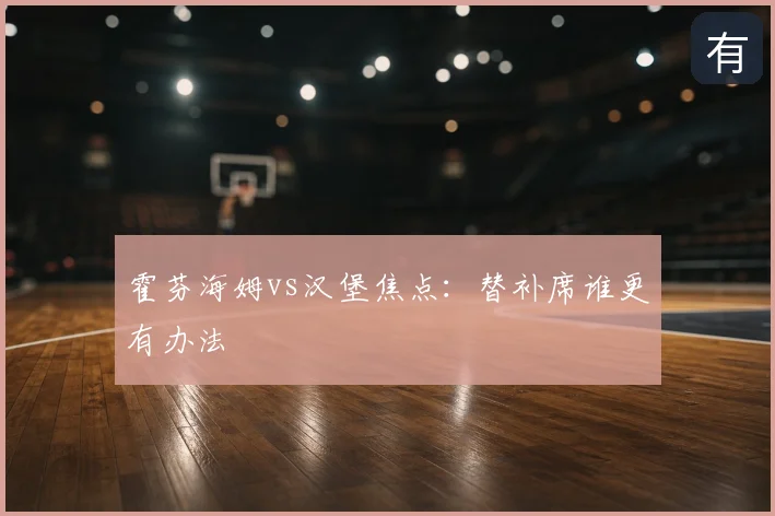 霍芬海姆vs汉堡焦点：替补席谁更有办法