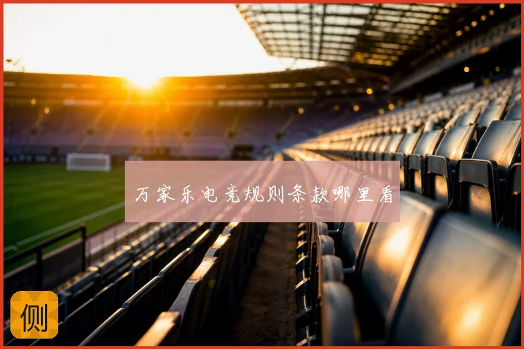万家乐电竞规则条款哪里看